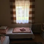 Zsuzsa Vendeghaza Balatonfured