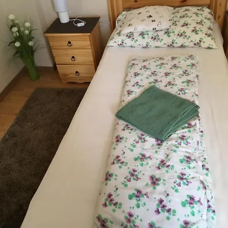 Zsuzsa Vendeghaza Apartment *